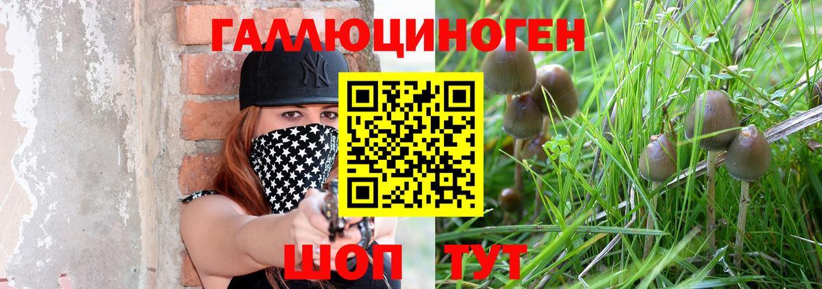 Петрозаводск  Псилоцибиновые грибы Magic Shrooms  Вход с VPN 