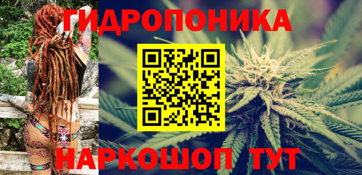 Шишки марихуана марихуана  Конопля Bruce Banner  Бошки марихуана семена  Петрозаводск  Вход с VPN 